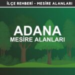 Adana Mesire Alanları Listesi - Kamp ve Piknik Yerleri