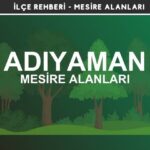 Adıyaman Mesire Alanları Listesi - Kamp ve Piknik Yerleri