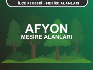 Afyon Mesire Alanları Listesi - Kamp ve Piknik Yerleri