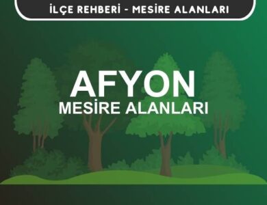 Afyon Mesire Alanları Listesi - Kamp ve Piknik Yerleri