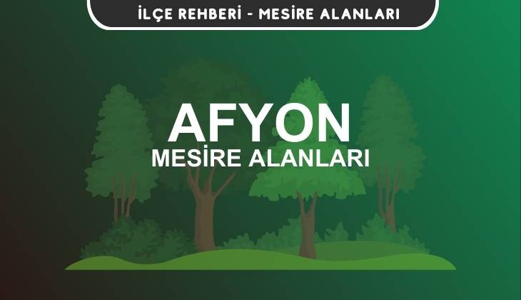 Afyon Mesire Alanları Listesi - Kamp ve Piknik Yerleri