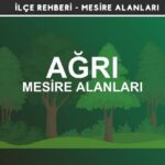 Ağrı Mesire Alanları Listesi - Kamp ve Piknik Yerleri