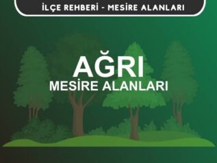 Ağrı Mesire Alanları Listesi - Kamp ve Piknik Yerleri