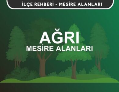 Ağrı Mesire Alanları Listesi - Kamp ve Piknik Yerleri