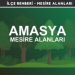 Amasya Mesire Alanları Listesi - Kamp ve Piknik Yerleri