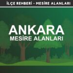 Ankara Mesire Alanları Listesi - Kamp ve Piknik Yerleri