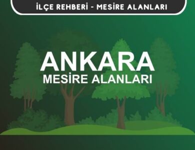 Ankara Mesire Alanları Listesi - Kamp ve Piknik Yerleri