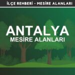 Antalya Mesire Alanları Listesi - Kamp ve Piknik Yerleri