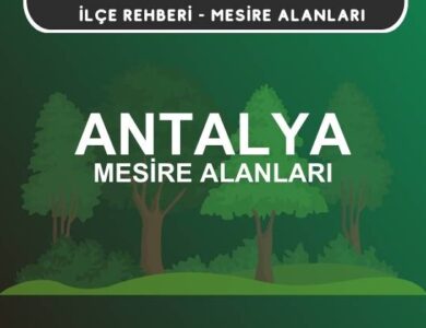 Antalya Mesire Alanları Listesi - Kamp ve Piknik Yerleri