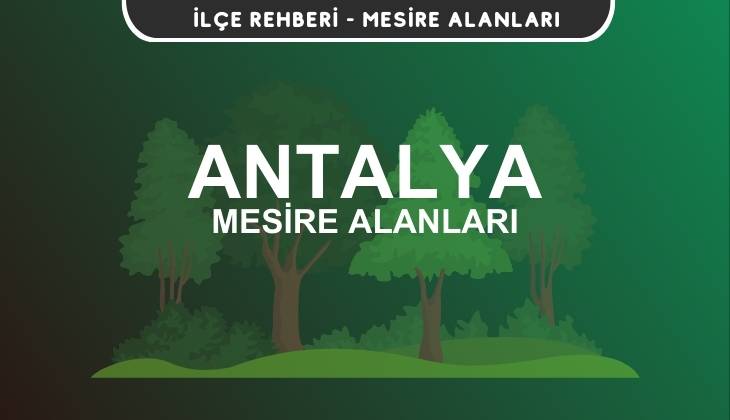 Antalya Mesire Alanları Listesi - Kamp ve Piknik Yerleri