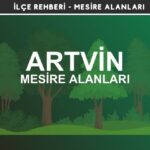 Artvin Mesire Alanları Listesi - Kamp ve Piknik Yerleri