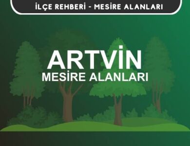 Artvin Mesire Alanları Listesi - Kamp ve Piknik Yerleri