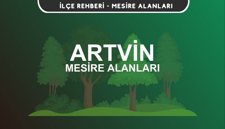 Artvin Mesire Alanları Listesi - Kamp ve Piknik Yerleri