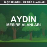 Aydın Mesire Alanları Listesi - Kamp ve Piknik Yerleri