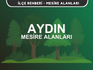 Aydın Mesire Alanları Listesi - Kamp ve Piknik Yerleri