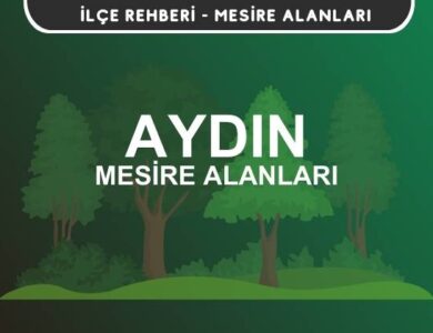 Aydın Mesire Alanları Listesi - Kamp ve Piknik Yerleri