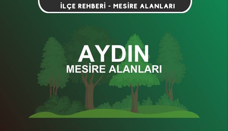 Aydın Mesire Alanları Listesi - Kamp ve Piknik Yerleri