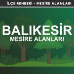 Balıkesir Mesire Alanları Listesi - Kamp ve Piknik Yerleri