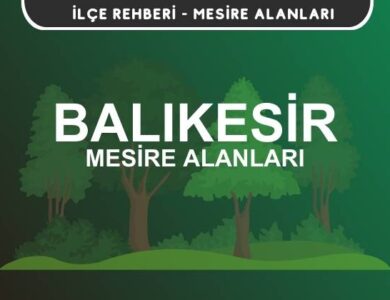 Balıkesir Mesire Alanları Listesi - Kamp ve Piknik Yerleri