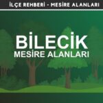 Bilecik Mesire Alanları Listesi - Kamp ve Piknik Yerleri