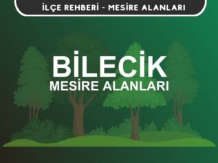 Bilecik Mesire Alanları Listesi - Kamp ve Piknik Yerleri