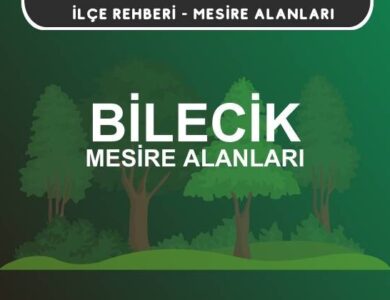 Bilecik Mesire Alanları Listesi - Kamp ve Piknik Yerleri