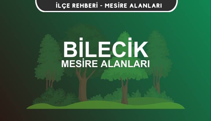 Bilecik Mesire Alanları Listesi - Kamp ve Piknik Yerleri