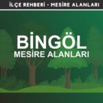 Bingöl Mesire Alanları Listesi - Kamp ve Piknik Yerleri