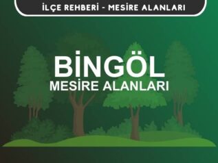 Bingöl Mesire Alanları Listesi - Kamp ve Piknik Yerleri