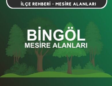 Bingöl Mesire Alanları Listesi - Kamp ve Piknik Yerleri