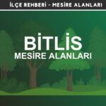 Bitlis Mesire Alanları Listesi - Kamp ve Piknik Yerleri