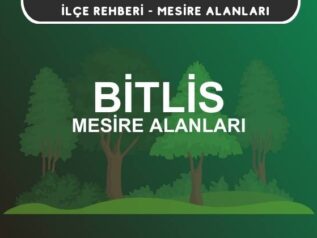 Bitlis Mesire Alanları Listesi - Kamp ve Piknik Yerleri