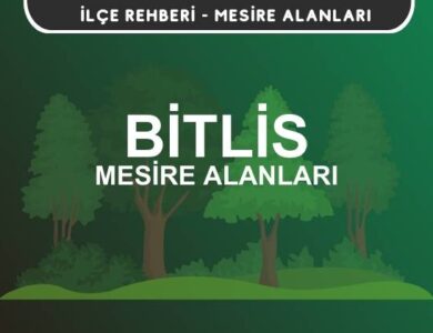 Bitlis Mesire Alanları Listesi - Kamp ve Piknik Yerleri