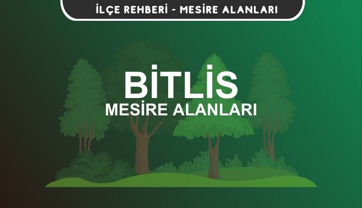 Bitlis Mesire Alanları Listesi - Kamp ve Piknik Yerleri