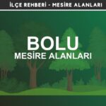 Bolu Mesire Alanları Listesi - Kamp ve Piknik Yerleri