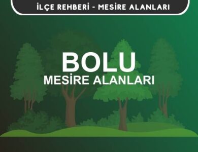 Bolu Mesire Alanları Listesi - Kamp ve Piknik Yerleri