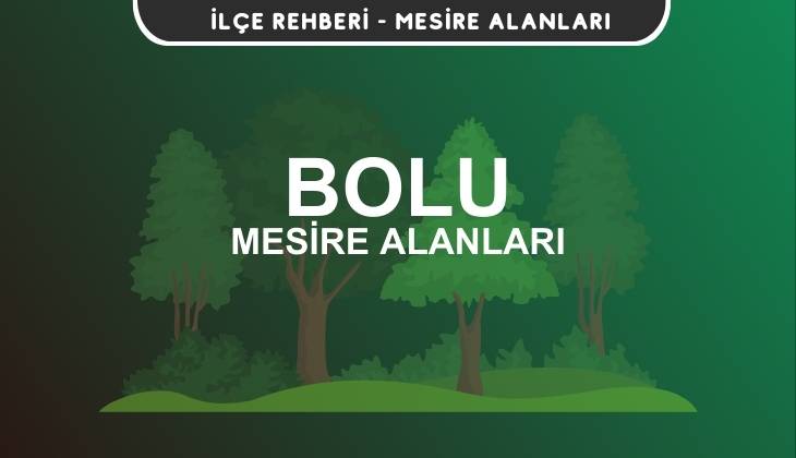 Bolu Mesire Alanları Listesi - Kamp ve Piknik Yerleri