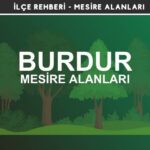 Burdur Mesire Alanları Listesi - Kamp ve Piknik Yerleri