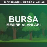 Bursa Mesire Alanları Listesi - Kamp ve Piknik Yerleri