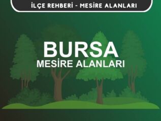 Bursa Mesire Alanları Listesi - Kamp ve Piknik Yerleri