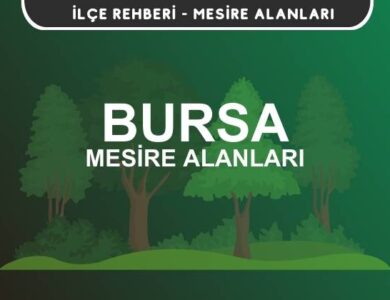 Bursa Mesire Alanları Listesi - Kamp ve Piknik Yerleri