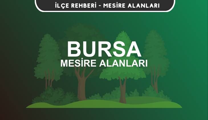 Bursa Mesire Alanları Listesi - Kamp ve Piknik Yerleri