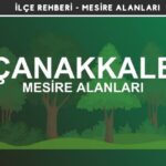 Çanakkale Mesire Alanları Listesi - Kamp ve Piknik Yerleri