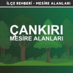 Çankırı Mesire Alanları Listesi - Kamp ve Piknik Yerleri