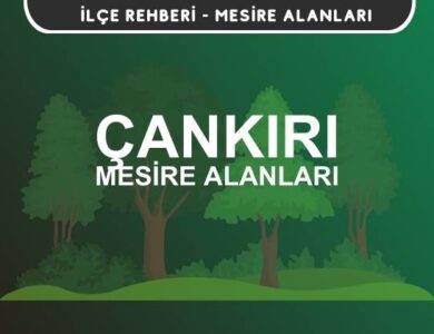 Çankırı Mesire Alanları Listesi - Kamp ve Piknik Yerleri