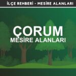 Çorum Mesire Alanları Listesi - Kamp ve Piknik Yerleri