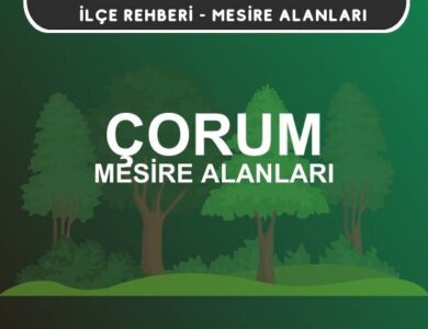 Çorum Mesire Alanları Listesi - Kamp ve Piknik Yerleri