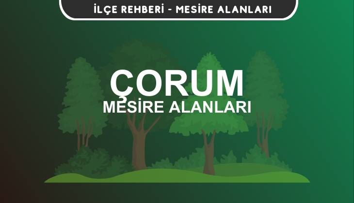 Çorum Mesire Alanları Listesi - Kamp ve Piknik Yerleri