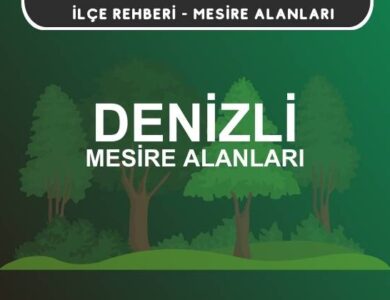 Denizli Mesire Alanları Listesi - Kamp ve Piknik Yerleri