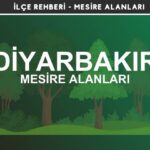 Diyarbakır Mesire Alanları Listesi - Kamp ve Piknik Yerleri